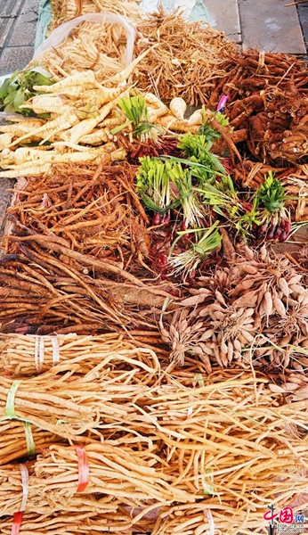 b体育：浅析药膳养生文化——以普洱“百草根”文化美食节为例(图4)