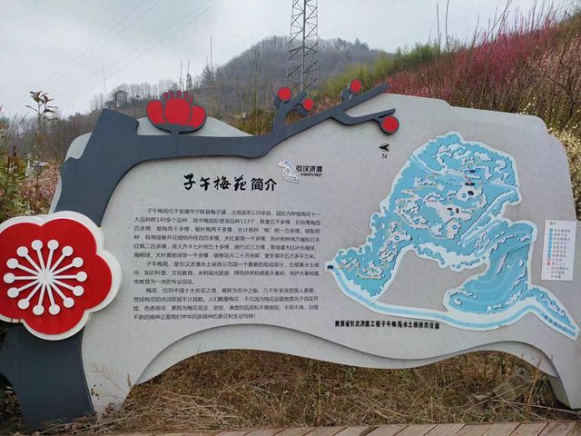 b体育官网入口：宁陕：春来“梅”好邀您共赏